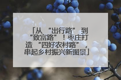 从 “出行路” 到 “致富路”！枣庄打造 “四好农村路”，串起乡村振兴新图景