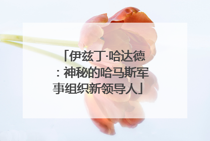 伊兹丁·哈达德：神秘的哈马斯军事组织新领导人