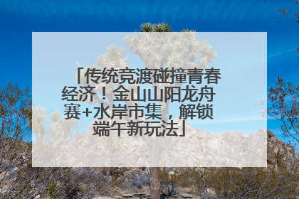 传统竞渡碰撞青春经济！金山山阳龙舟赛+水岸市集，解锁端午新玩法