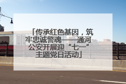 传承红色基因，筑牢忠诚警魂——通河公安开展迎“七一”主题党日活动
