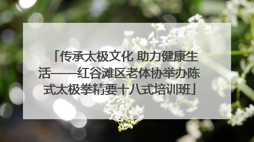 传承太极文化 助力健康生活——红谷滩区老体协举办陈式太极拳精要十八式培训班