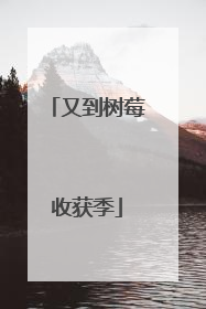 又到树莓收获季