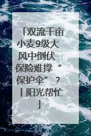 双流千亩小麦9级大风中倒伏 保险难撑“保护伞”？丨阳光帮忙