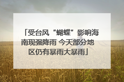 受台风“蝴蝶”影响海南现强降雨 今天部分地区仍有暴雨大暴雨