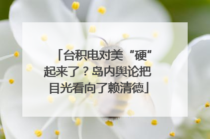 台积电对美“硬”起来了？岛内舆论把目光看向了赖清德