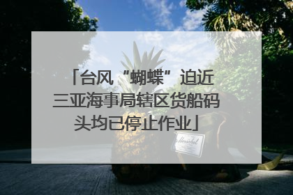台风“蝴蝶”迫近 三亚海事局辖区货船码头均已停止作业