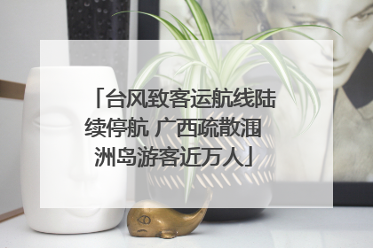 台风致客运航线陆续停航 广西疏散涠洲岛游客近万人