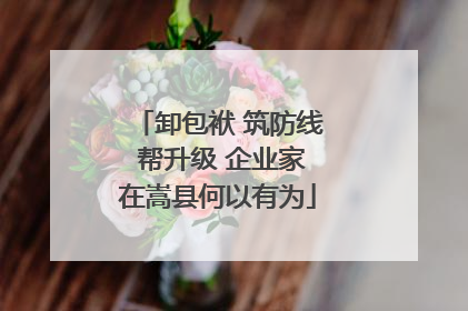 卸包袱 筑防线 帮升级 企业家在嵩县何以有为