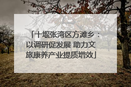 十堰张湾区方滩乡：以调研促发展 助力文旅康养产业提质增效