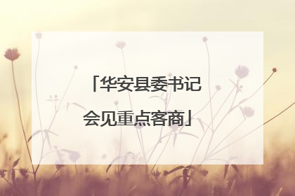 华安县委书记会见重点客商