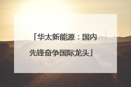 华太新能源：国内先锋奋争国际龙头