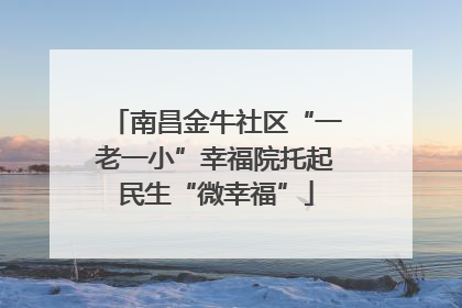 南昌金牛社区“一老一小”幸福院托起民生“微幸福”