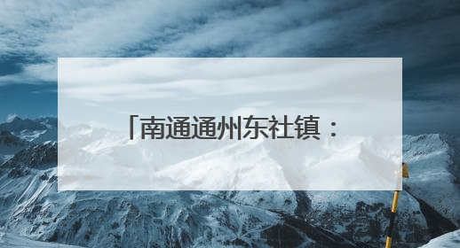 南通通州东社镇：“五一”返乡，党员们“归巢”学习