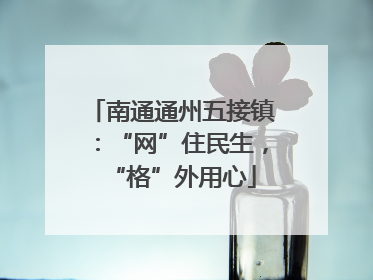 南通通州五接镇：“网”住民生，“格”外用心