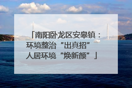 南阳卧龙区安皋镇：环境整治“出真招” 人居环境“焕新颜”