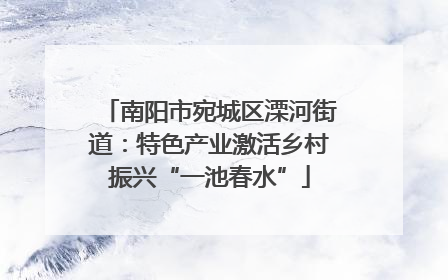 南阳市宛城区溧河街道：特色产业激活乡村振兴“一池春水”