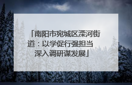 南阳市宛城区溧河街道：以学促行强担当 深入调研谋发展