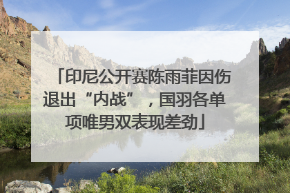 印尼公开赛陈雨菲因伤退出“内战”，国羽各单项唯男双表现差劲