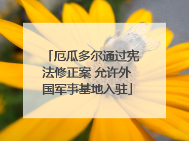 厄瓜多尔通过宪法修正案 允许外国军事基地入驻