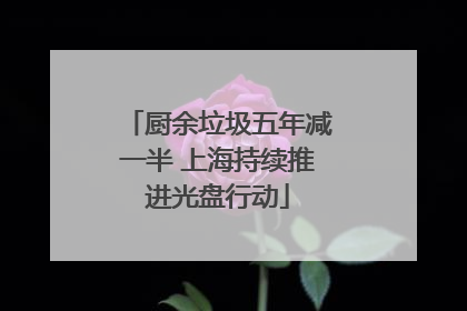 厨余垃圾五年减一半 上海持续推进光盘行动