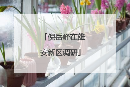 倪岳峰在雄安新区调研
