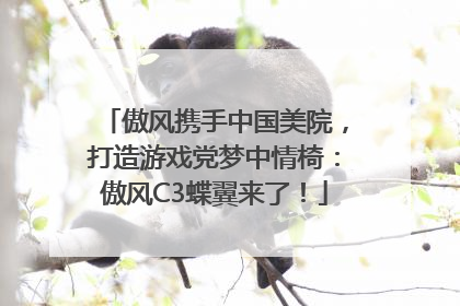 傲风携手中国美院，打造游戏党梦中情椅：傲风C3蝶翼来了！