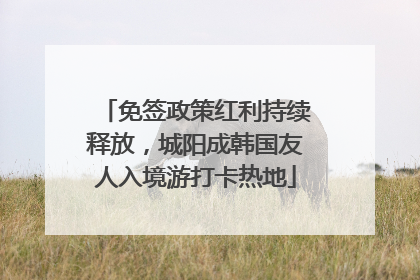 免签政策红利持续释放，城阳成韩国友人入境游打卡热地