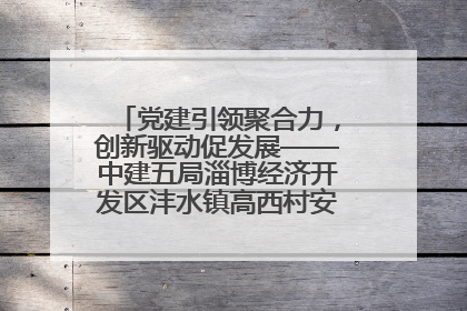 党建引领聚合力，创新驱动促发展——中建五局淄博经济开发区沣水镇高西村安置项目建设纪实