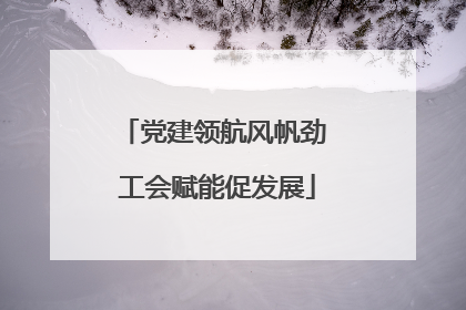 党建领航风帆劲 工会赋能促发展
