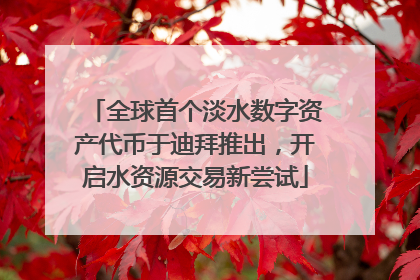 全球首个淡水数字资产代币于迪拜推出，开启水资源交易新尝试