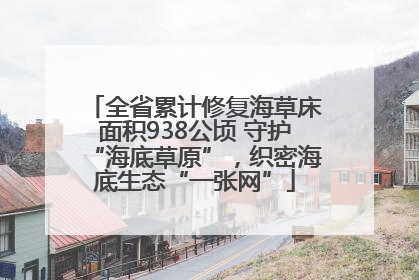 全省累计修复海草床面积938公顷 守护“海底草原”，织密海底生态“一张网”