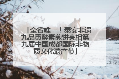 全省唯一！泰安非遗九品贡酵素煎饼亮相第九届中国成都国际非物质文化遗产节