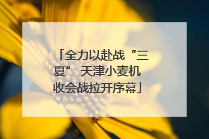 全力以赴战“三夏” 天津小麦机收会战拉开序幕