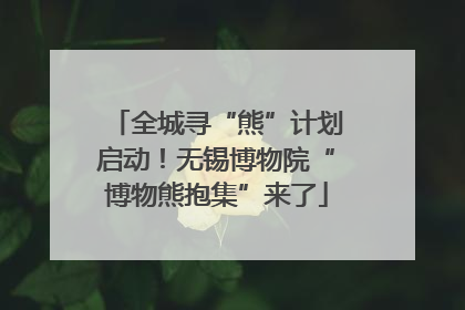 全城寻“熊”计划启动！无锡博物院“博物熊抱集”来了