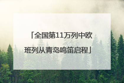 全国第11万列中欧班列从青岛鸣笛启程