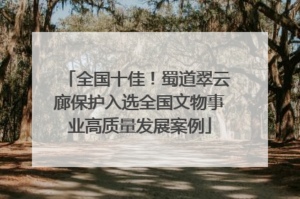 全国十佳！蜀道翠云廊保护入选全国文物事业高质量发展案例