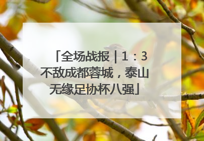全场战报｜1：3不敌成都蓉城，泰山无缘足协杯八强