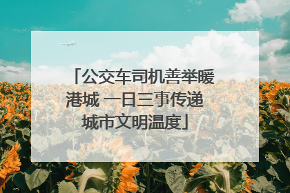 公交车司机善举暖港城 一日三事传递城市文明温度