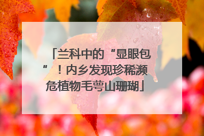 兰科中的“显眼包”！内乡发现珍稀濒危植物毛萼山珊瑚