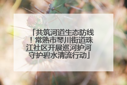 共筑河道生态防线！常熟市琴川街道珠江社区开展巡河护河守护碧水清流行动