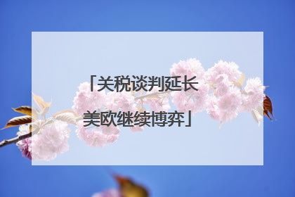 关税谈判延长 美欧继续博弈