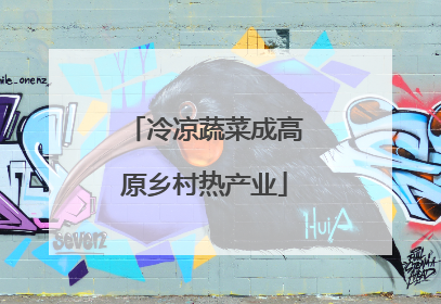 冷凉蔬菜成高原乡村热产业