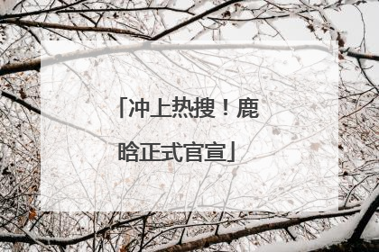 冲上热搜！鹿晗正式官宣