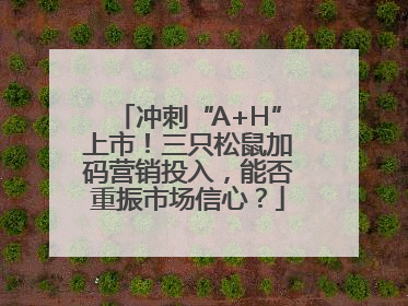 冲刺“A+H”上市！三只松鼠加码营销投入，能否重振市场信心？