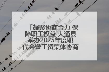 凝聚协商合力 保障职工权益 大通县举办2025年度职代会暨工资集体协商现场观摩交流活动