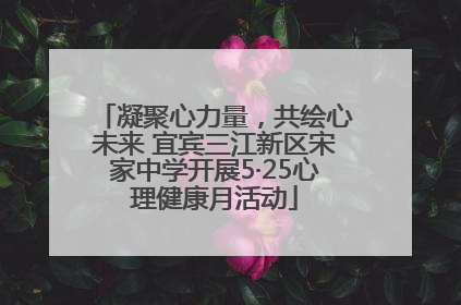 凝聚心力量，共绘心未来 宜宾三江新区宋家中学开展5·25心理健康月活动
