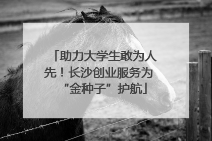 助力大学生敢为人先！长沙创业服务为“金种子”护航