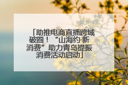 助推电商直播跨域破圈！“山海约·新消费”助力青岛提振消费活动启动