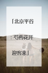 北京平谷：芍药花开迎客来