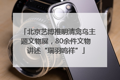 北京艺博推明清禽鸟主题文物展，80余件文物讲述“瑞羽鸣祥”